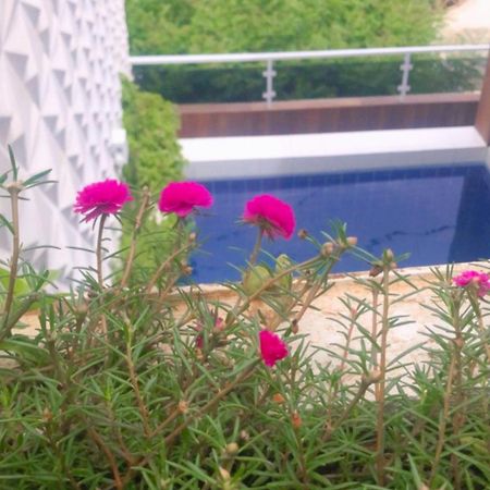 Pousada Berro Do Bode Hotel Cabaceiras ภายนอก รูปภาพ